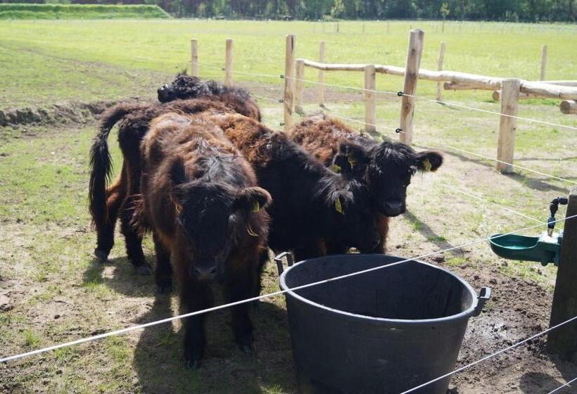 住宿加早餐  Eersel's Groen