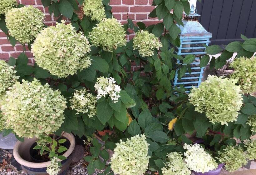 민박 Het Boenhok Logies