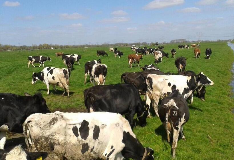 민박 Het Boenhok Logies