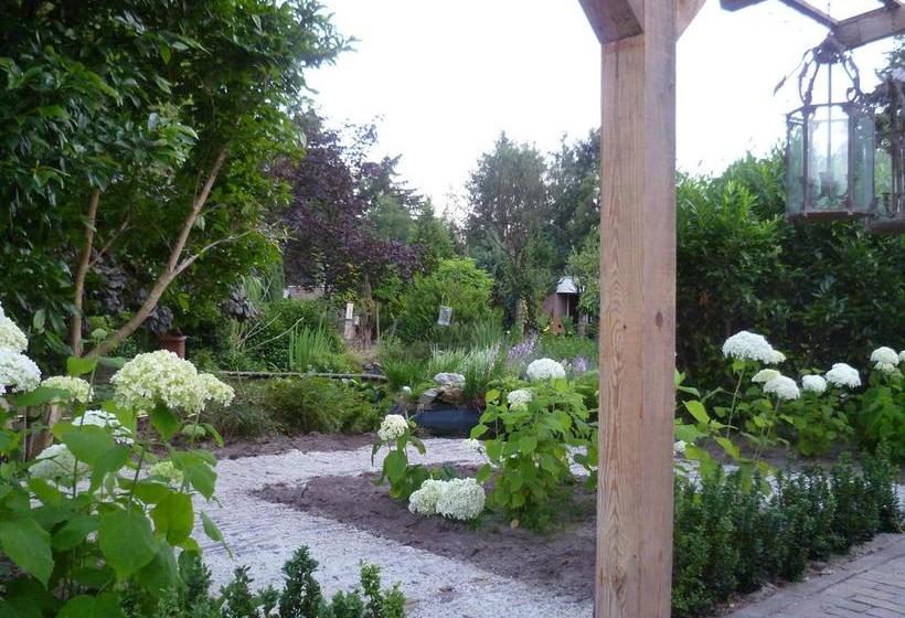 ベッドアンドブレックファースト Hof Van Sellingen