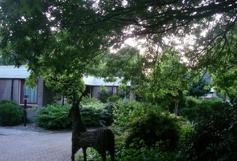 ベッドアンドブレックファースト Hof Van Sellingen