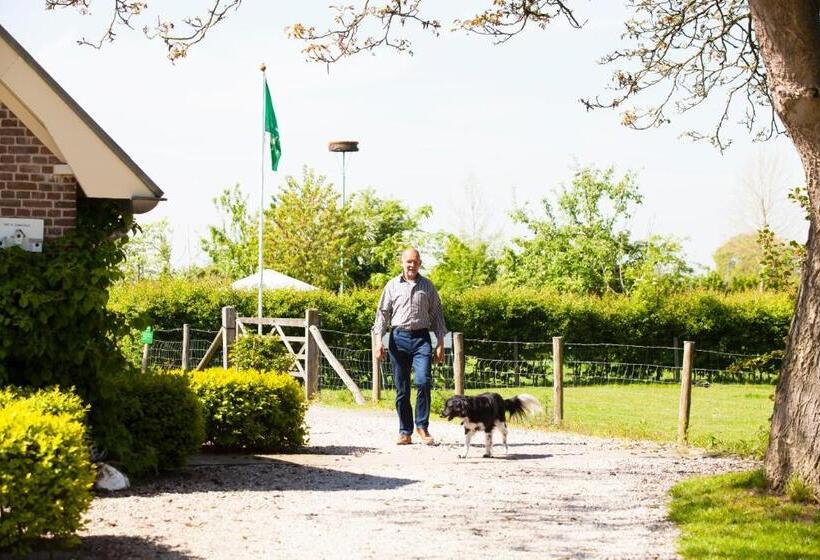 Bed And Breakfast Klein Groenbergen