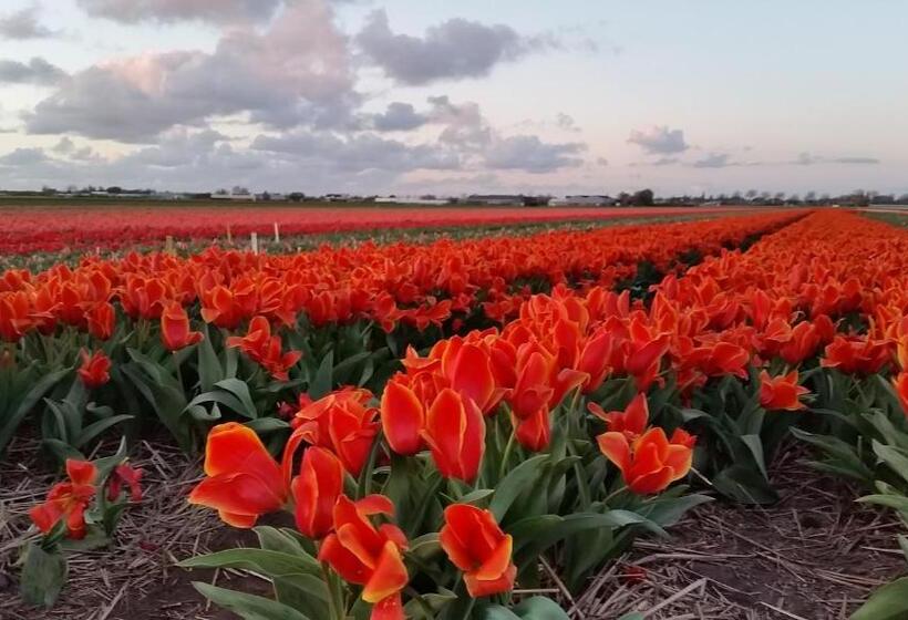 Aamiaismajoitus (B&B) Logement Hellevoetsluis