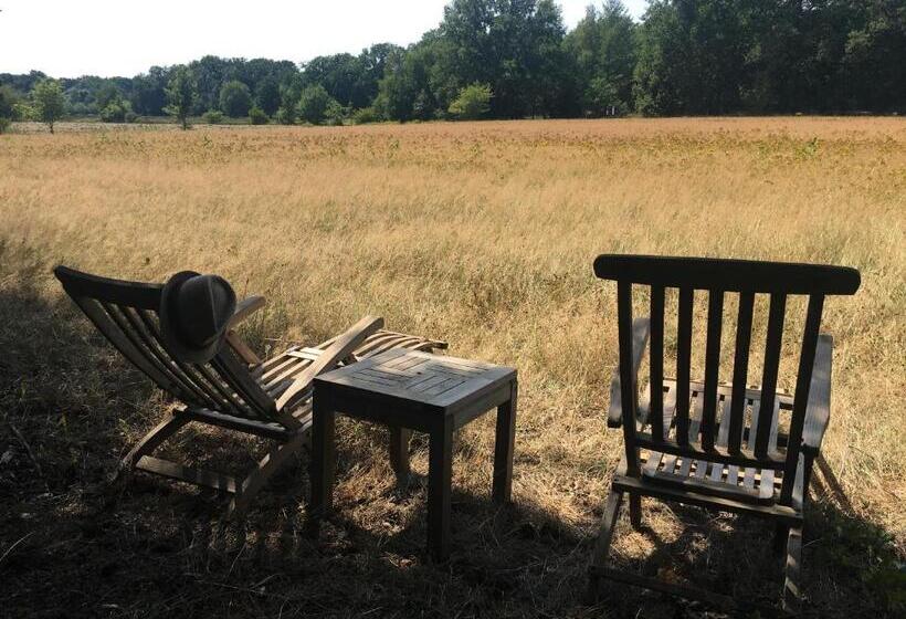 تختخواب و صبحانه Mollenvlied