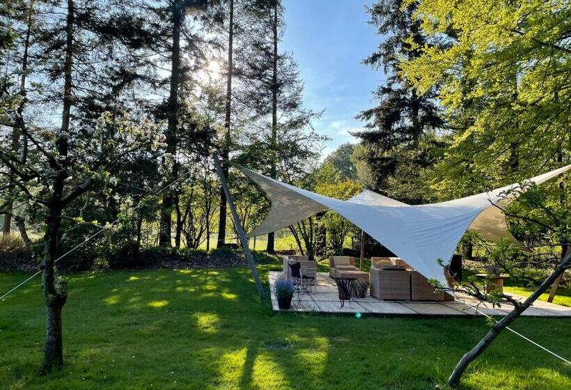 تختخواب و صبحانه Mollenvlied