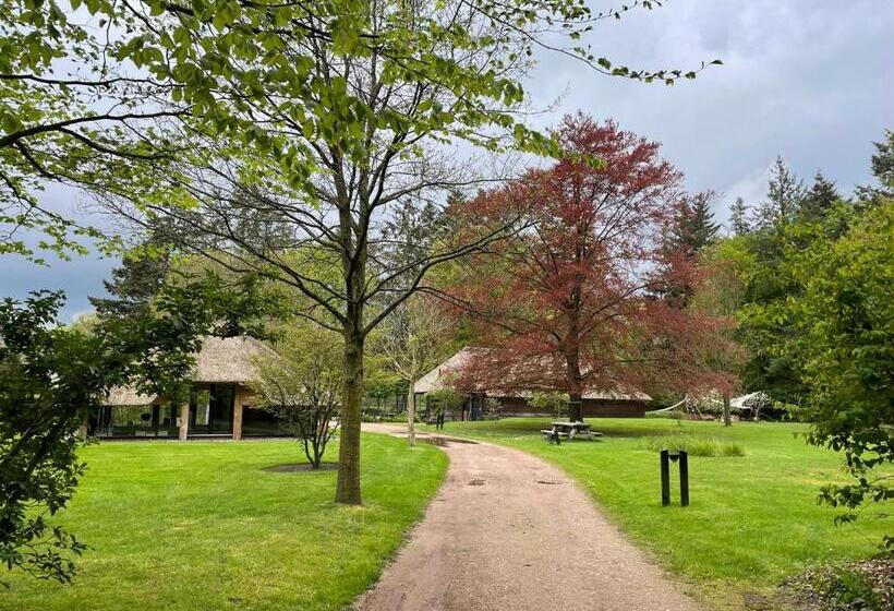 تختخواب و صبحانه Mollenvlied