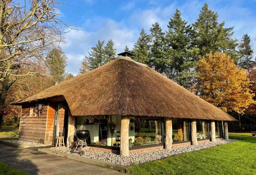 تختخواب و صبحانه Mollenvlied