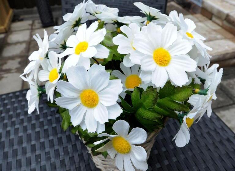 Bed and Breakfast Oekepoek Down Town