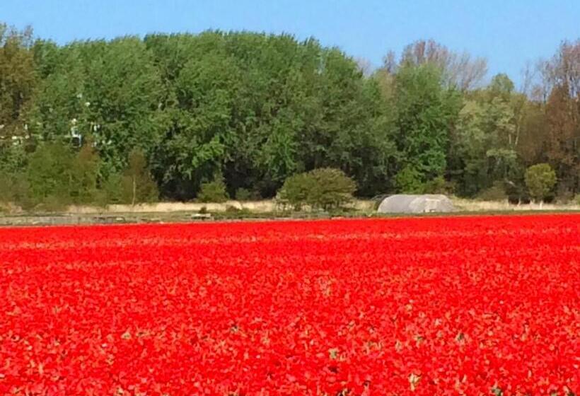 ベッドアンドブレックファースト Romantic Wellness Bnb Noordwijk