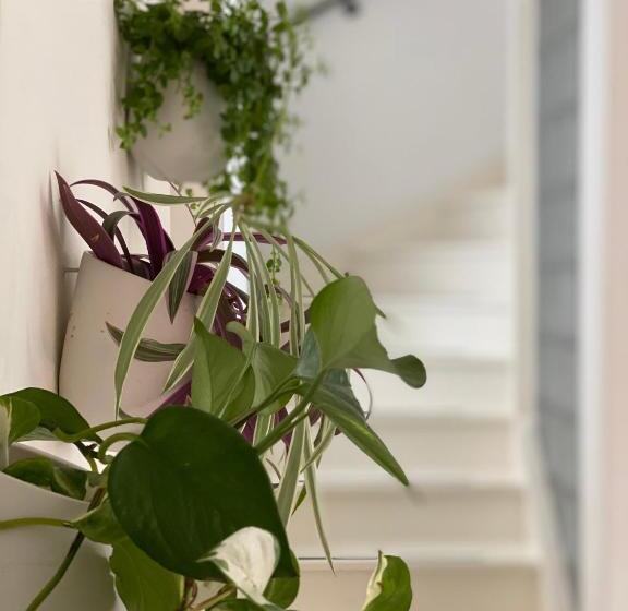 ベッドアンドブレックファースト Romantic Wellness Bnb Noordwijk