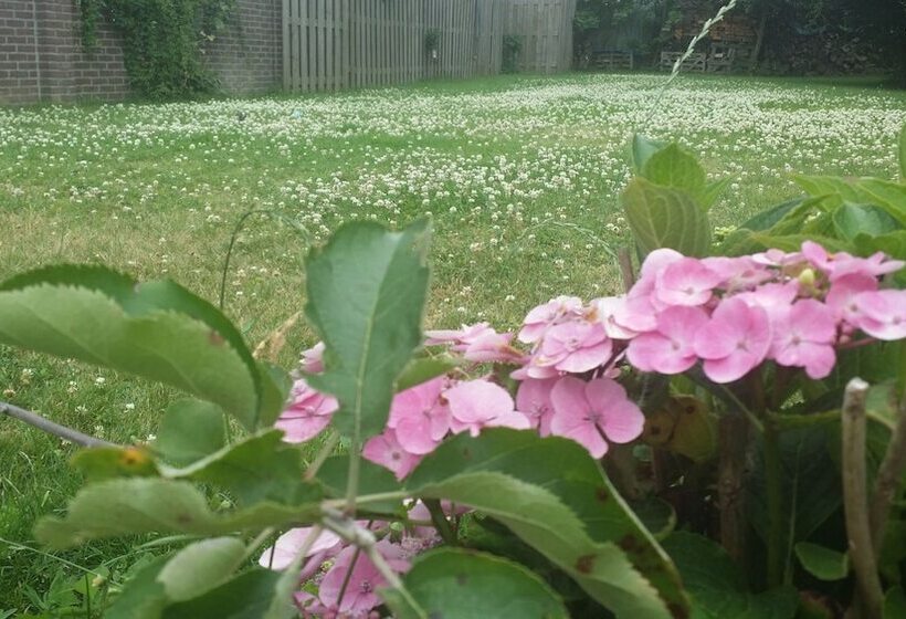 تختخواب و صبحانه Slapen & Smullen