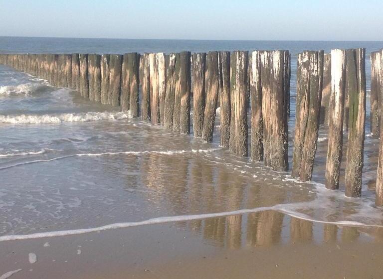 住宿加早餐 Sonop