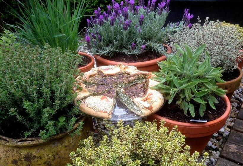 민박 Tussen De Tuinen