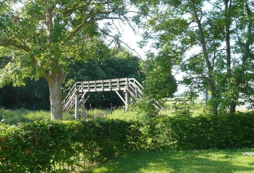 Bed and Breakfast Waddenhoes Gastenverblijven