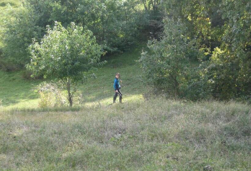 ベッドアンドブレックファースト Zeeland Aan Zee