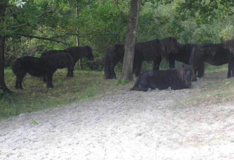 مبيت وإفطار Zeeland Aan Zee