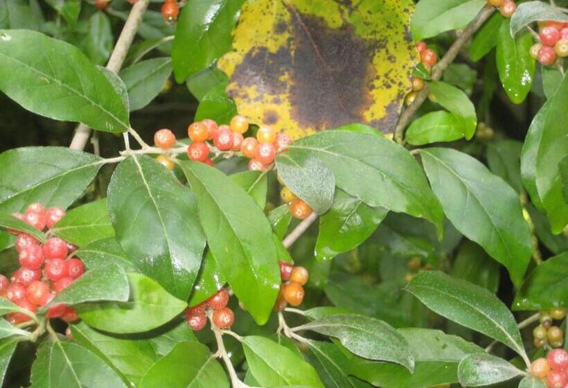 مبيت وإفطار Zeeland Aan Zee