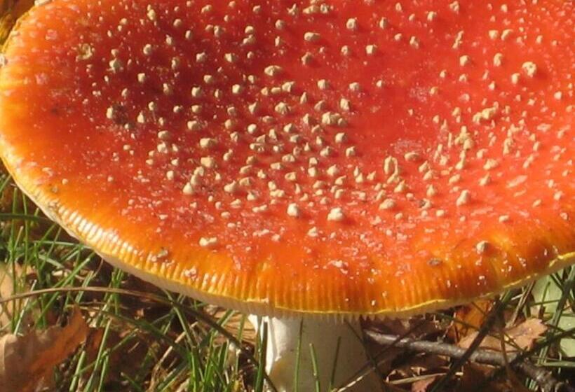 مبيت وإفطار Zeeland Aan Zee