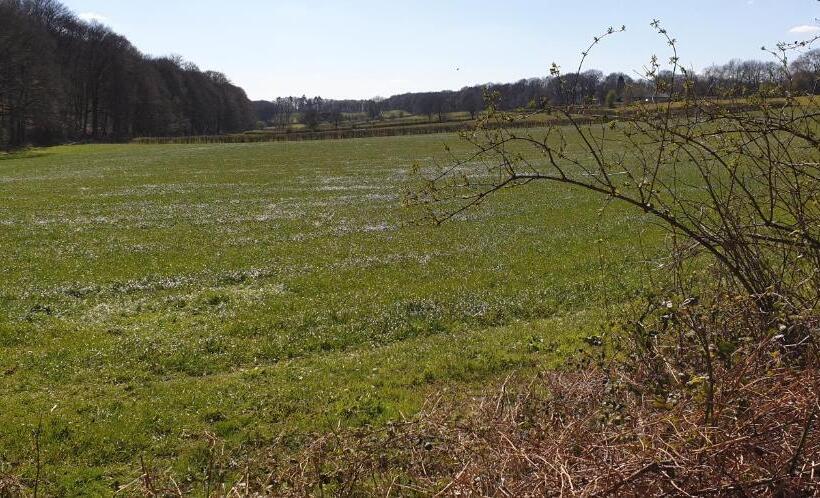 تختخواب و صبحانه Gastenverblijf Aan De Bagijnstraat
