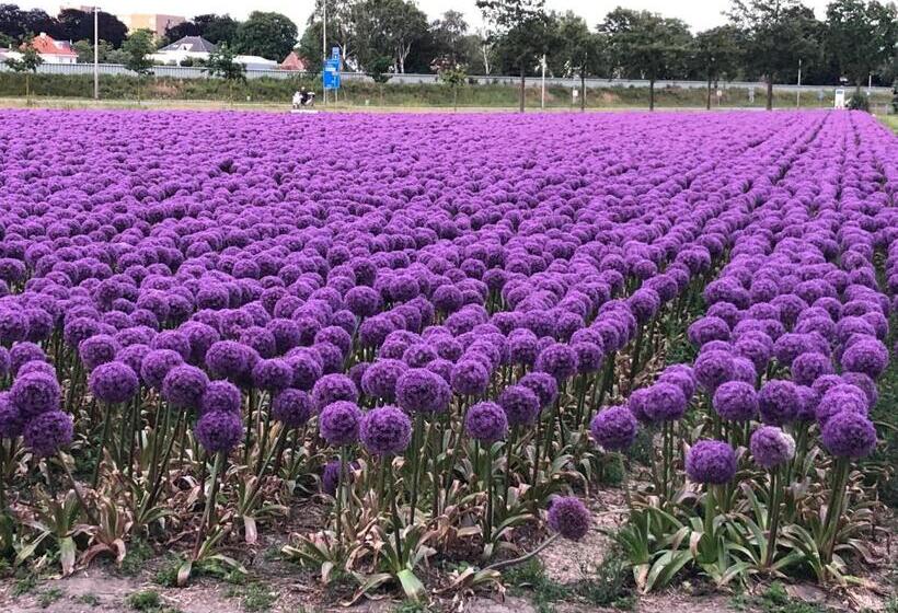 Bed & Breakfast De Vier Seizoenen