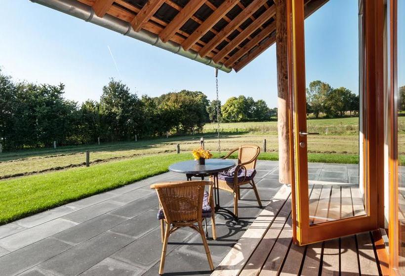 Bed & Breakfast De Wandhorst
