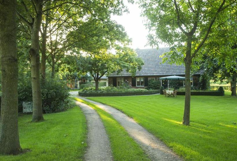 Bed & Breakfast De Wandhorst