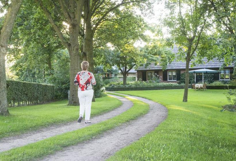 Bed & Breakfast De Wandhorst