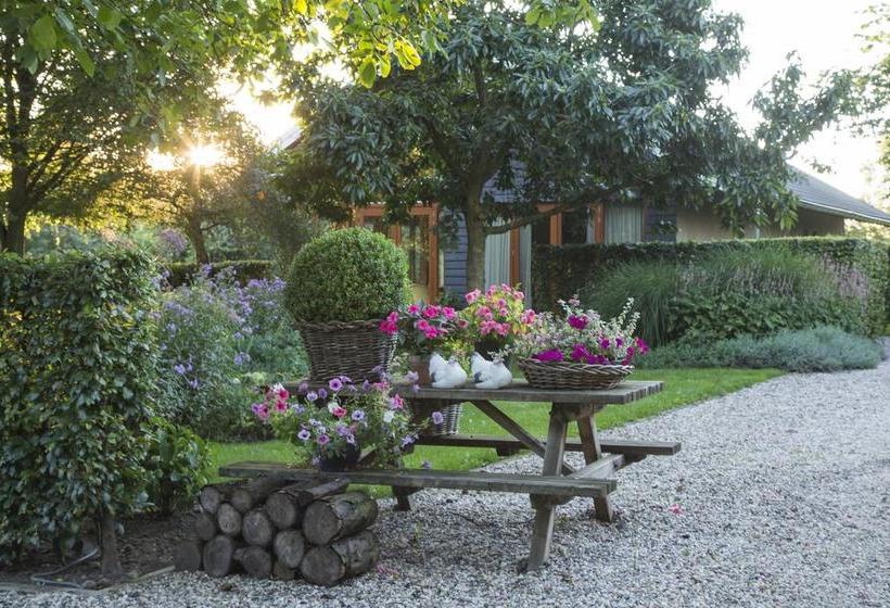 Bed & Breakfast De Wandhorst