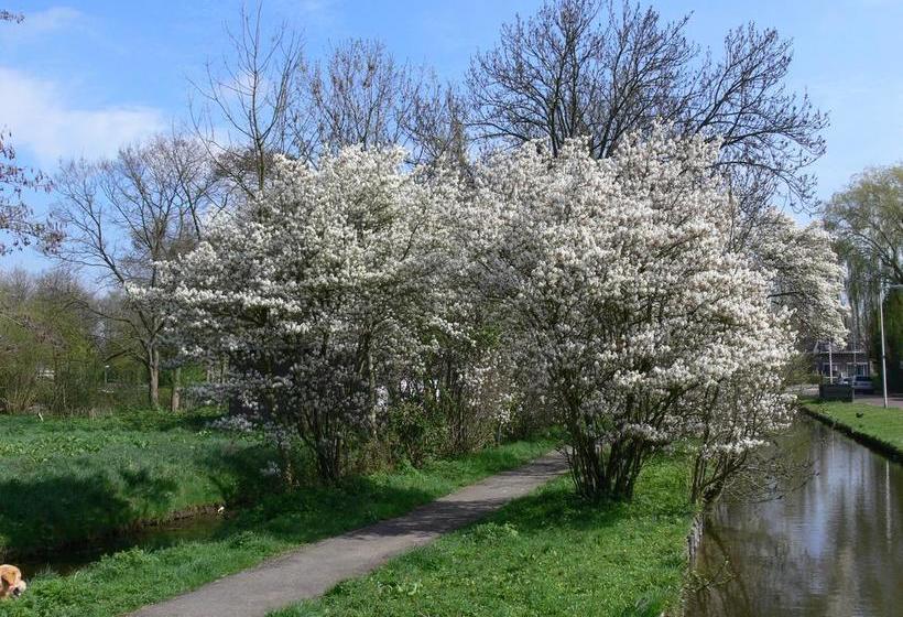 Bed & Breakfast Inndeberm