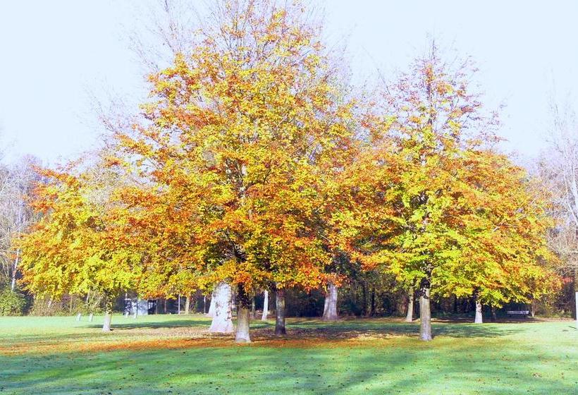 Bed & Breakfast Inndeberm