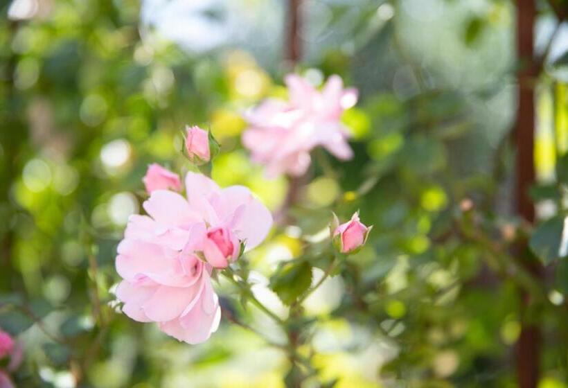 Bed & Breakfast Monument076 Etten Leur