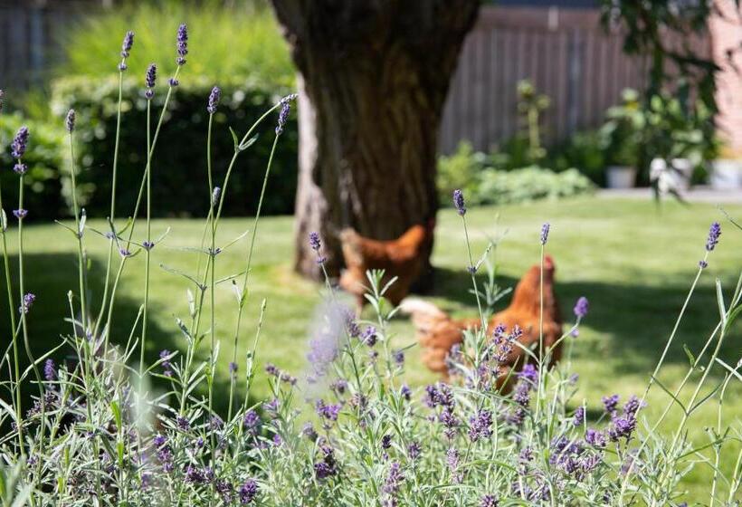 Bed & Breakfast Monument076 Etten Leur
