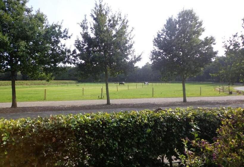 Bed & Breakfast  Op 7