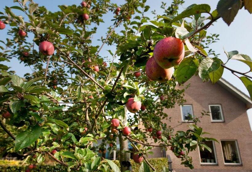 Bed & Breakfast  Op 7