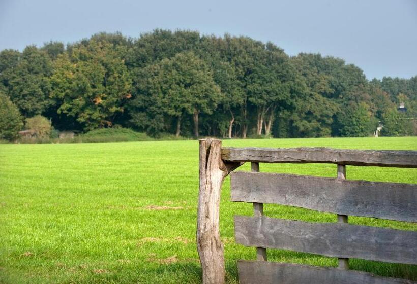 Bed & Breakfast  Op 7