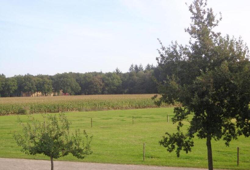 Bed & Breakfast  Op 7