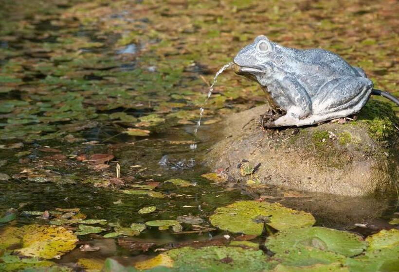 Bed & Breakfast  Op 7