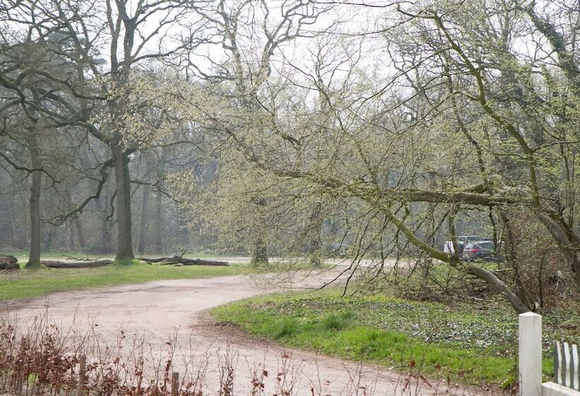 Bed & Breakfast Rijsterbosch