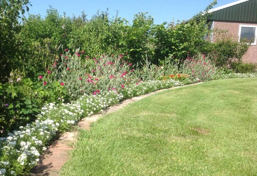 Cecilia   Catharina B&b