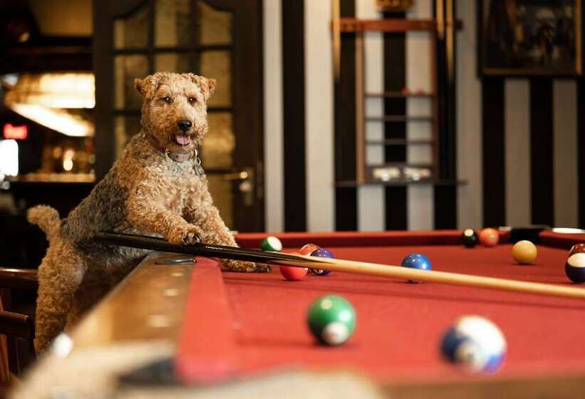 De Stobbe Hotel & Suites