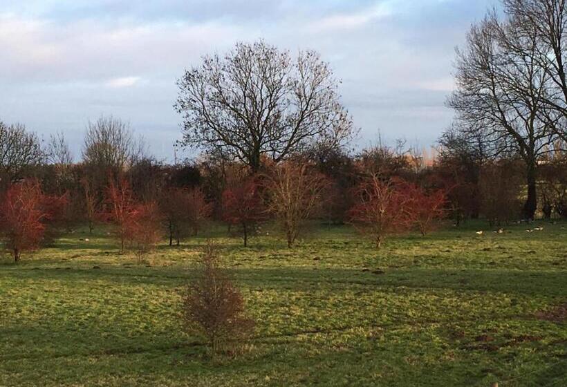 Deventer Heritage En Boutique B&b Museumhuis Huize De Worp