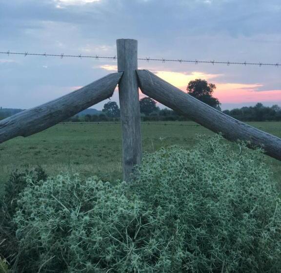 Deventer Heritage En Boutique B&b Museumhuis Huize De Worp