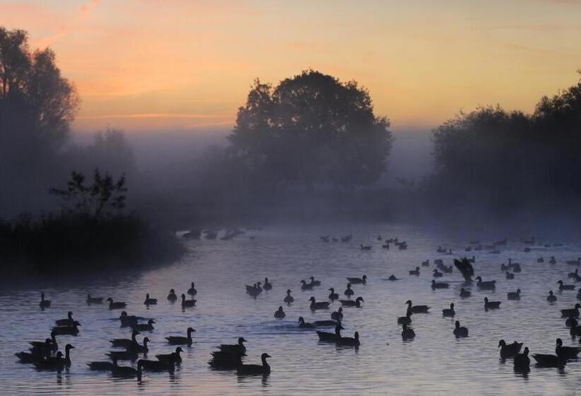 Deventer Heritage En Boutique B&b Museumhuis Huize De Worp