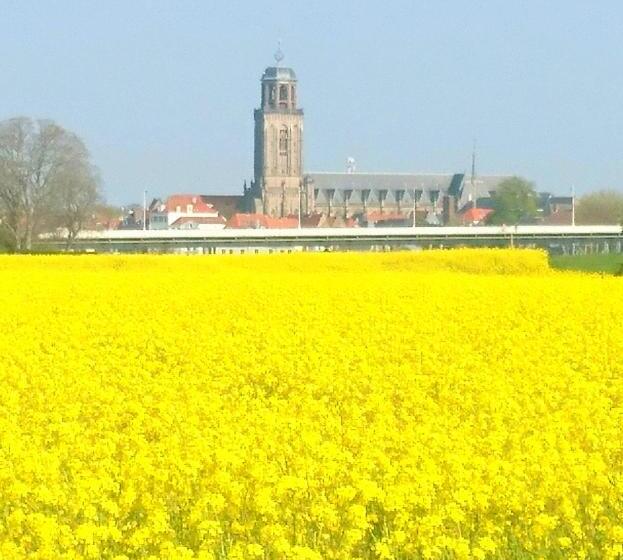 Deventer Heritage En Boutique B&b Museumhuis Huize De Worp