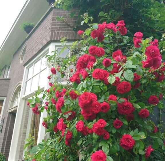 Deventer Heritage En Boutique B&b Museumhuis Huize De Worp