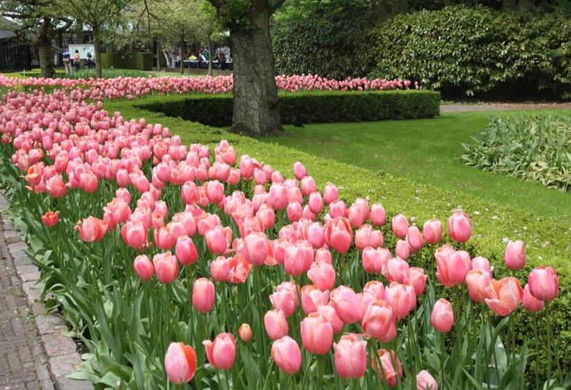 Floriande Bed & Breakfast