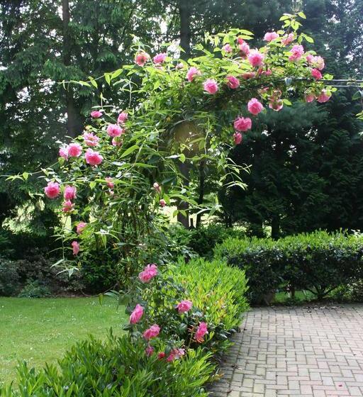 בית מלון כפרי Beukenhorst