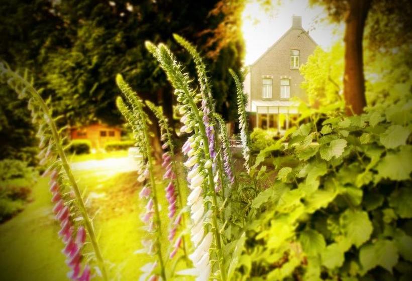 בית מלון כפרי Beukenhorst