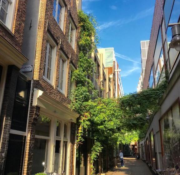 فندق City Studios