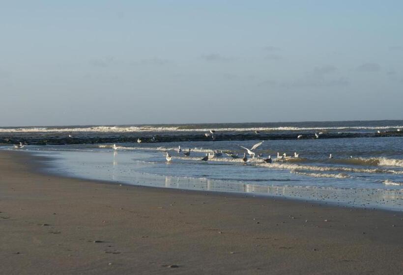 בית מלון כפרי De Herbergh Van Flielant